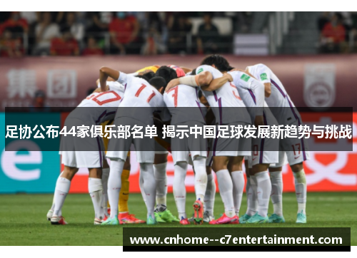 足协公布44家俱乐部名单 揭示中国足球发展新趋势与挑战