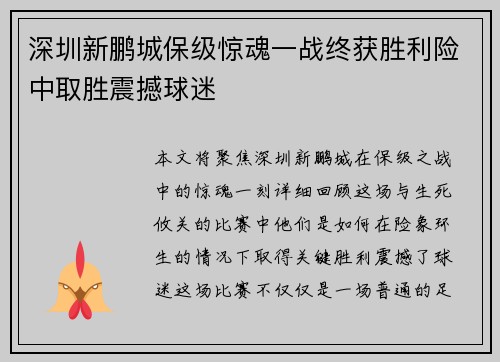 深圳新鹏城保级惊魂一战终获胜利险中取胜震撼球迷